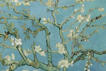 Lịch sử và văn hóa Hạ Long: Những điều thú vị ít người biết