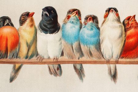 Hành trình khám phá các hang động kỳ bí ở Hạ Long